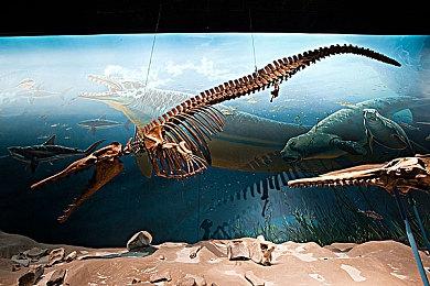 《火箭竞速》在堡垒之夜中亮相 同时游戏玩家超50万