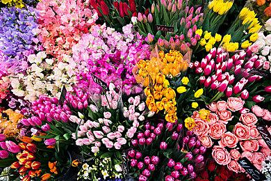 IOS《生化4重制版》今日推出 首发折扣5.1折