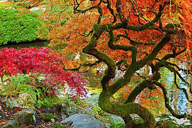 《星空之海》推迟至2023年推出 年内或推出试玩